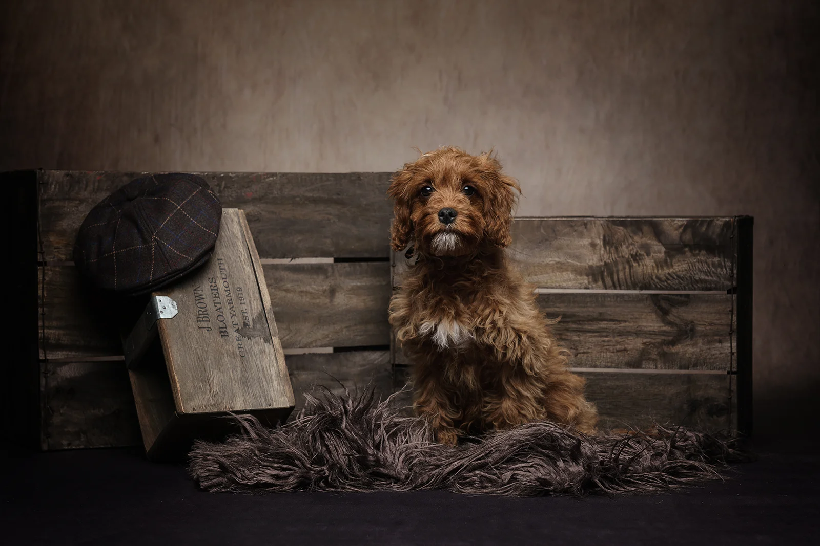 Pet Portrait Experience Gift Voucher - Image 3